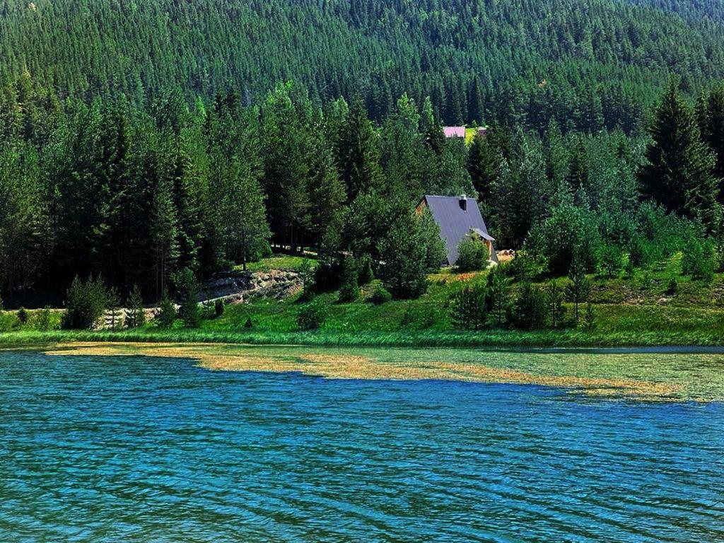 Zminica Lake House Žabljak Kültér fotó