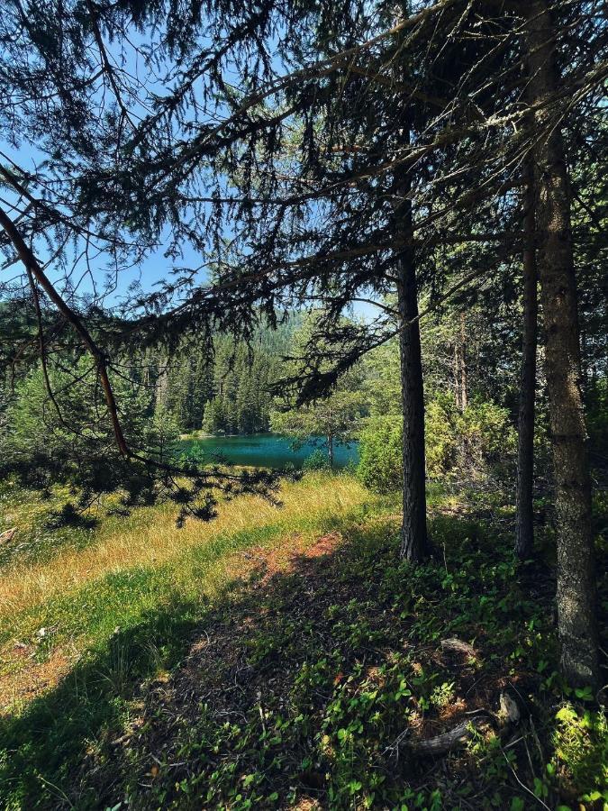 Zminica Lake House Žabljak Kültér fotó