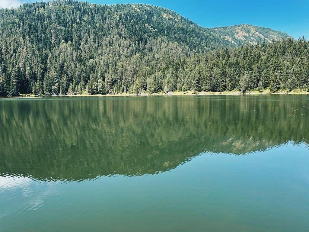 Zminica Lake House Žabljak Kültér fotó
