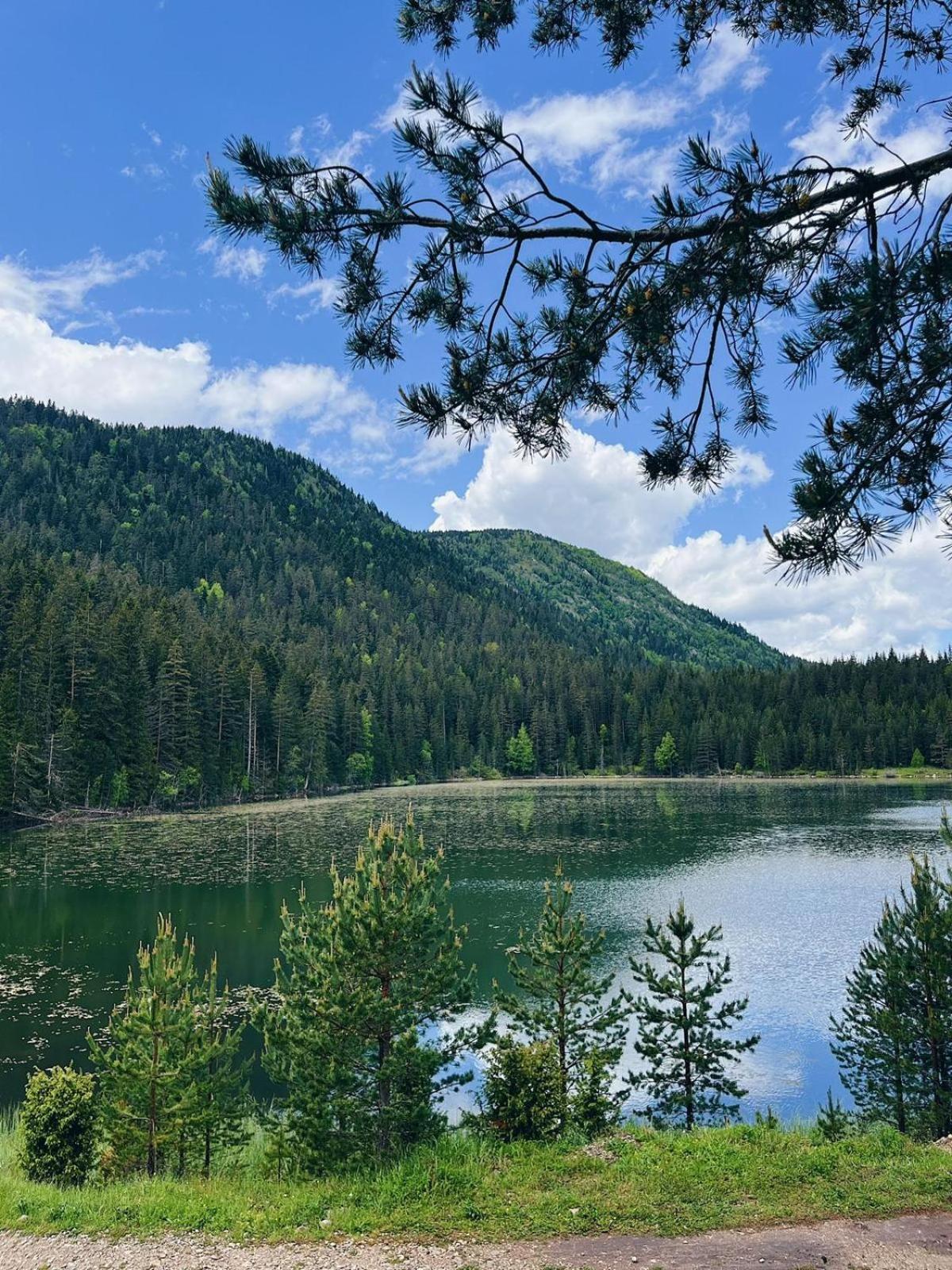 Zminica Lake House Žabljak Kültér fotó