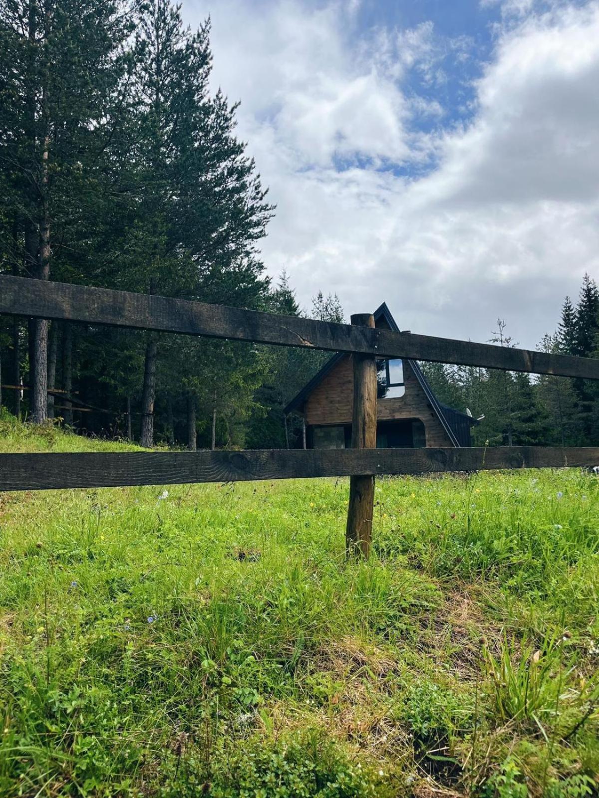 Zminica Lake House Žabljak Kültér fotó
